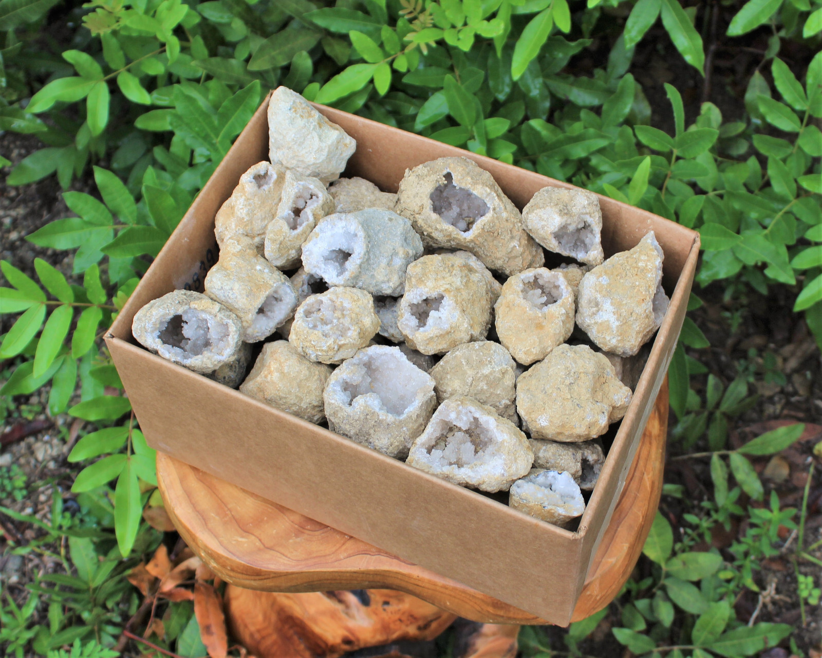 Break Your Own Geodes CLEARANCE Box Lot (Large Opened Natural Moroccan Crystals)