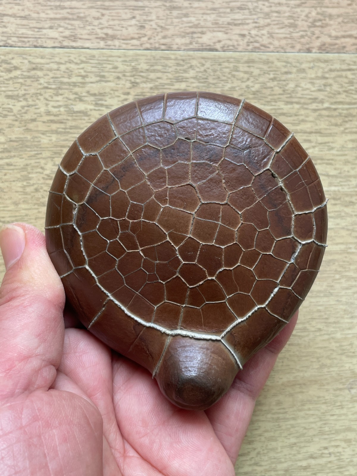 412g beautiful Natural tortoise back pattern stone Moire stone Landscape stone