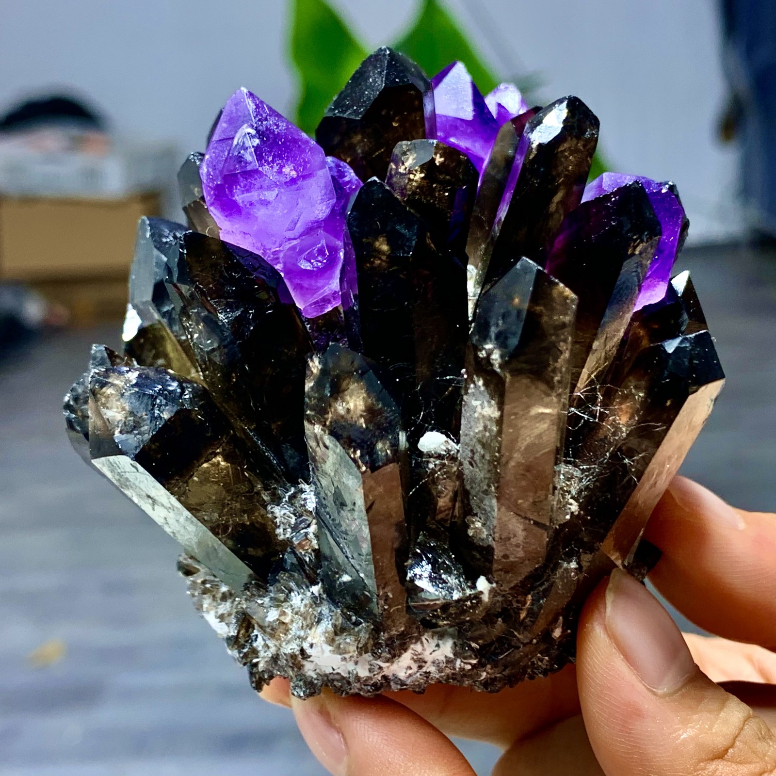 320G New Find black+purple Phantom Quartz Crystal Cluster Mineral Specimen