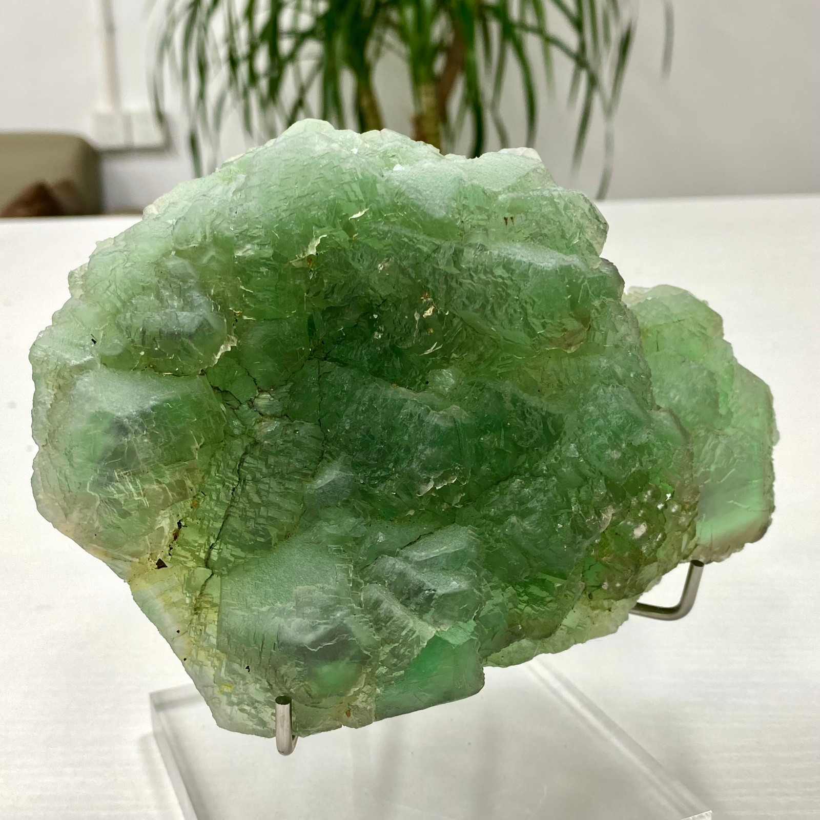 3.64LB Natural transparent green cubic fluorite mineral crystal sample/China