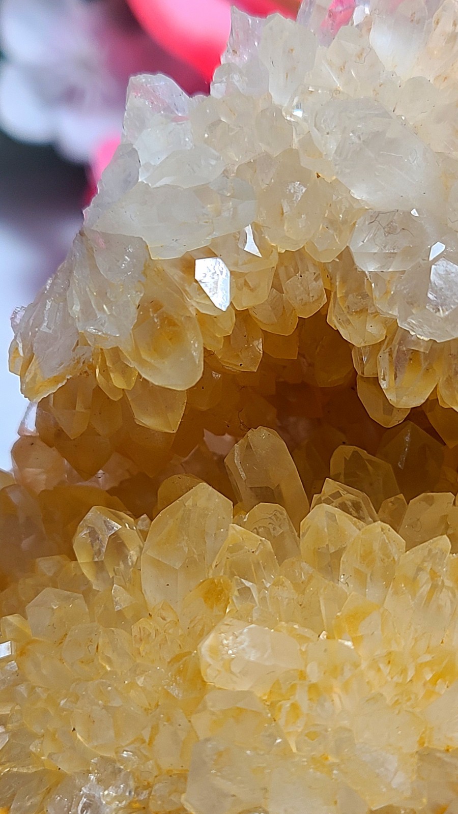 3.7″ 361g Pretty A+ Golden Healer Flower Quartz Crystal Stone Cluster Specimen
