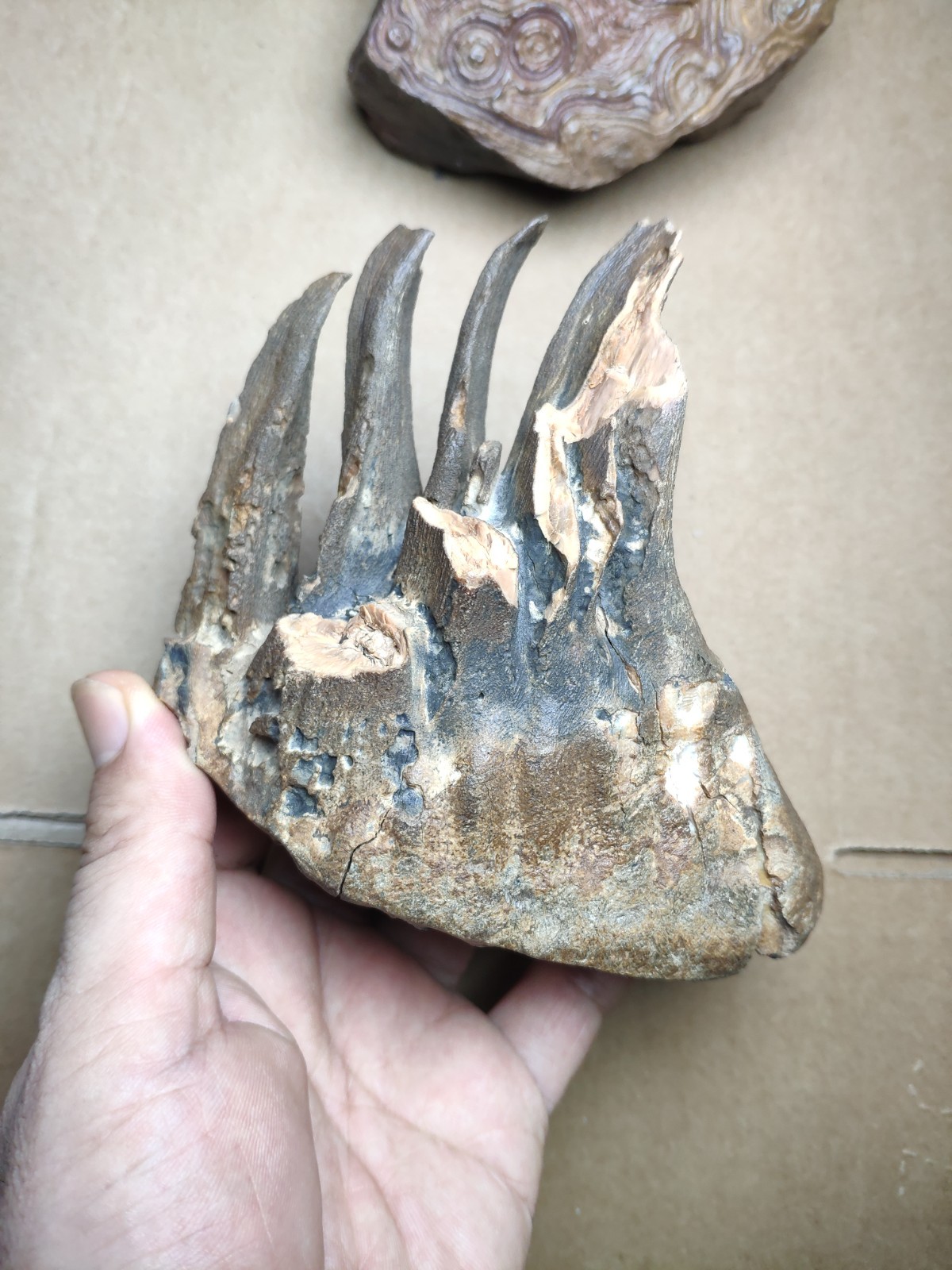 530g Beautiful Clear texture landscape stone