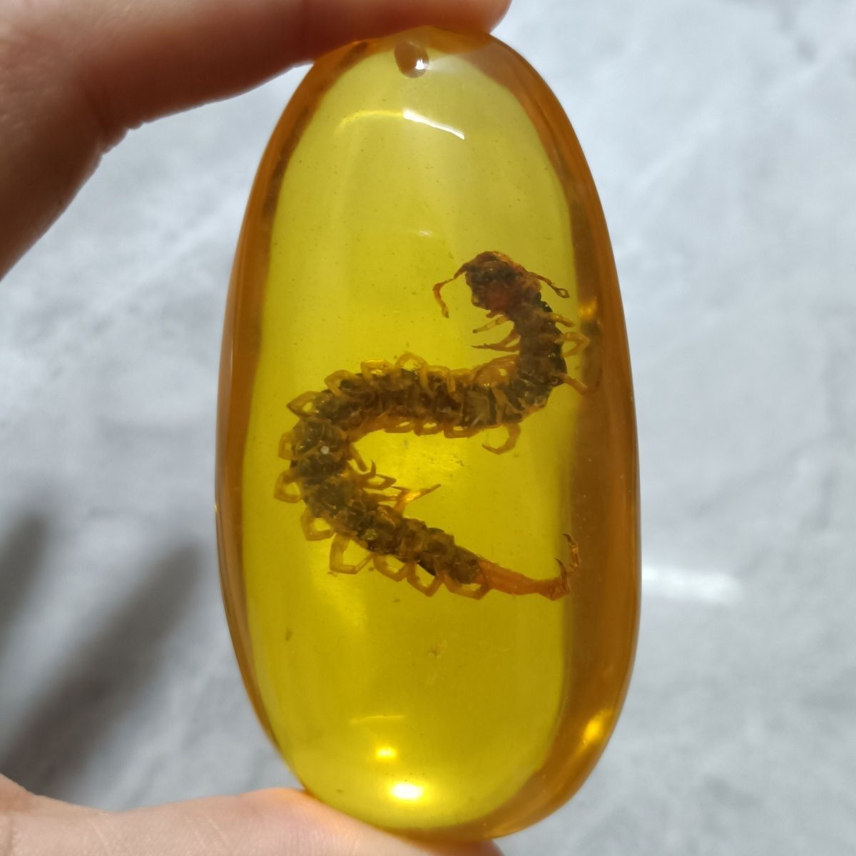Insect Amber Pendant Centipede Long Sweater Necklace for Men Women Jewelry