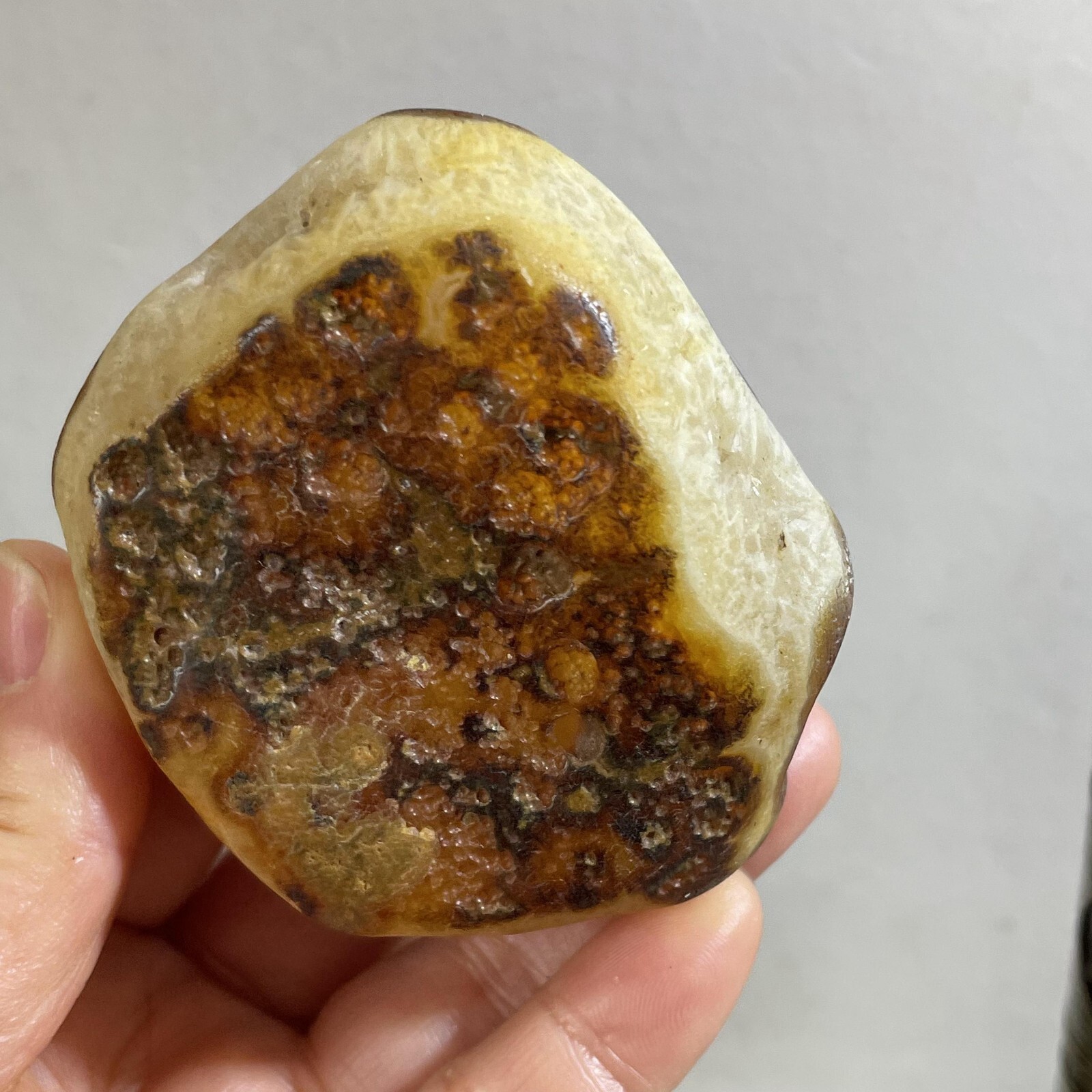 205g Bonsai Suiseki- Gobi Agate Eyes Stone-Rare Stunning Viewing