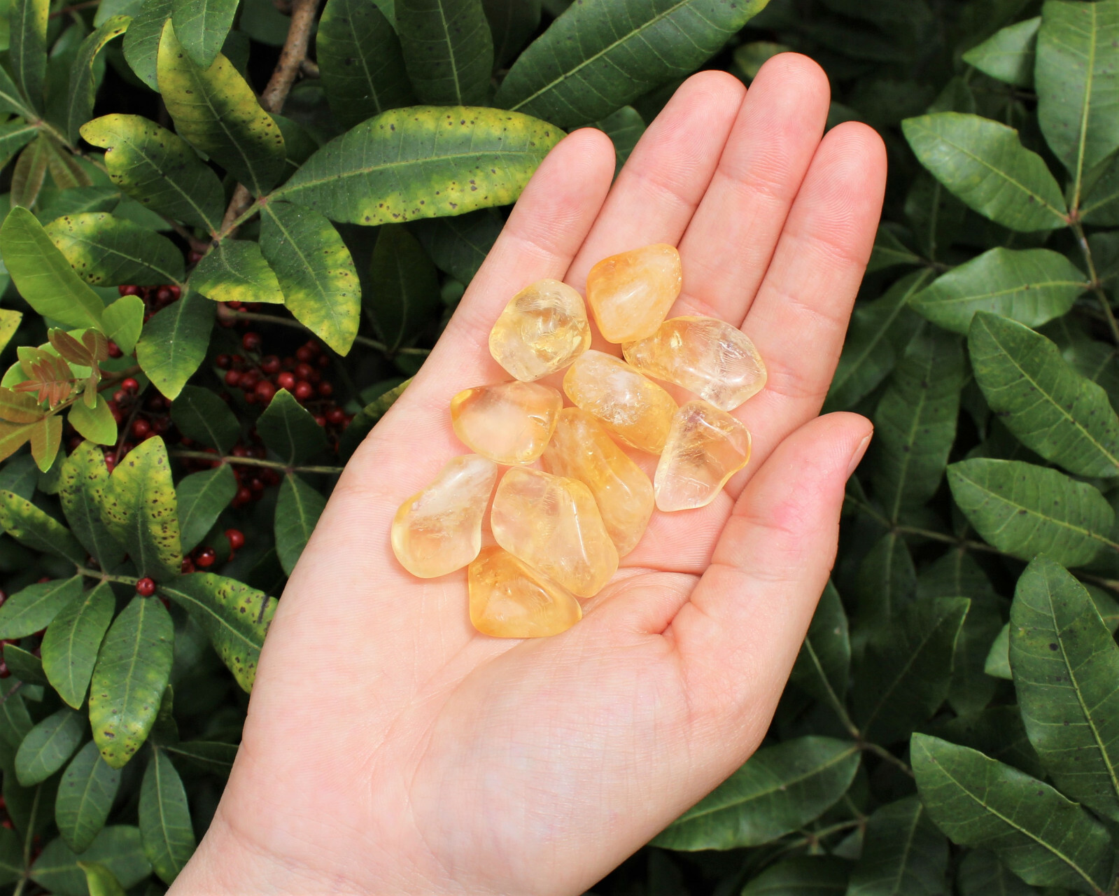 1/4 lb Bulk Citrine Tumbled Stone Crystal Healing Gemstone Chakra US Seller 4 oz