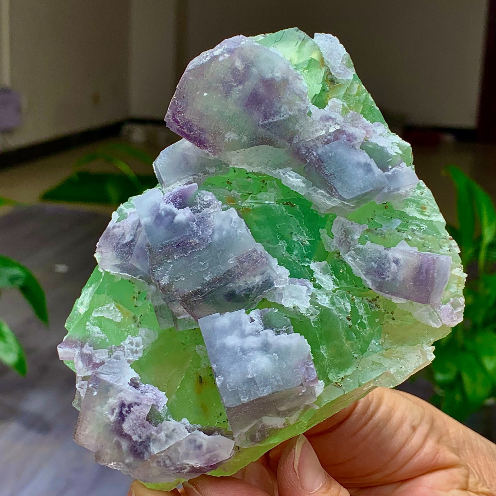 1.7LB Rare transparent green purple cubic Zhejiang fluorite mineral sample