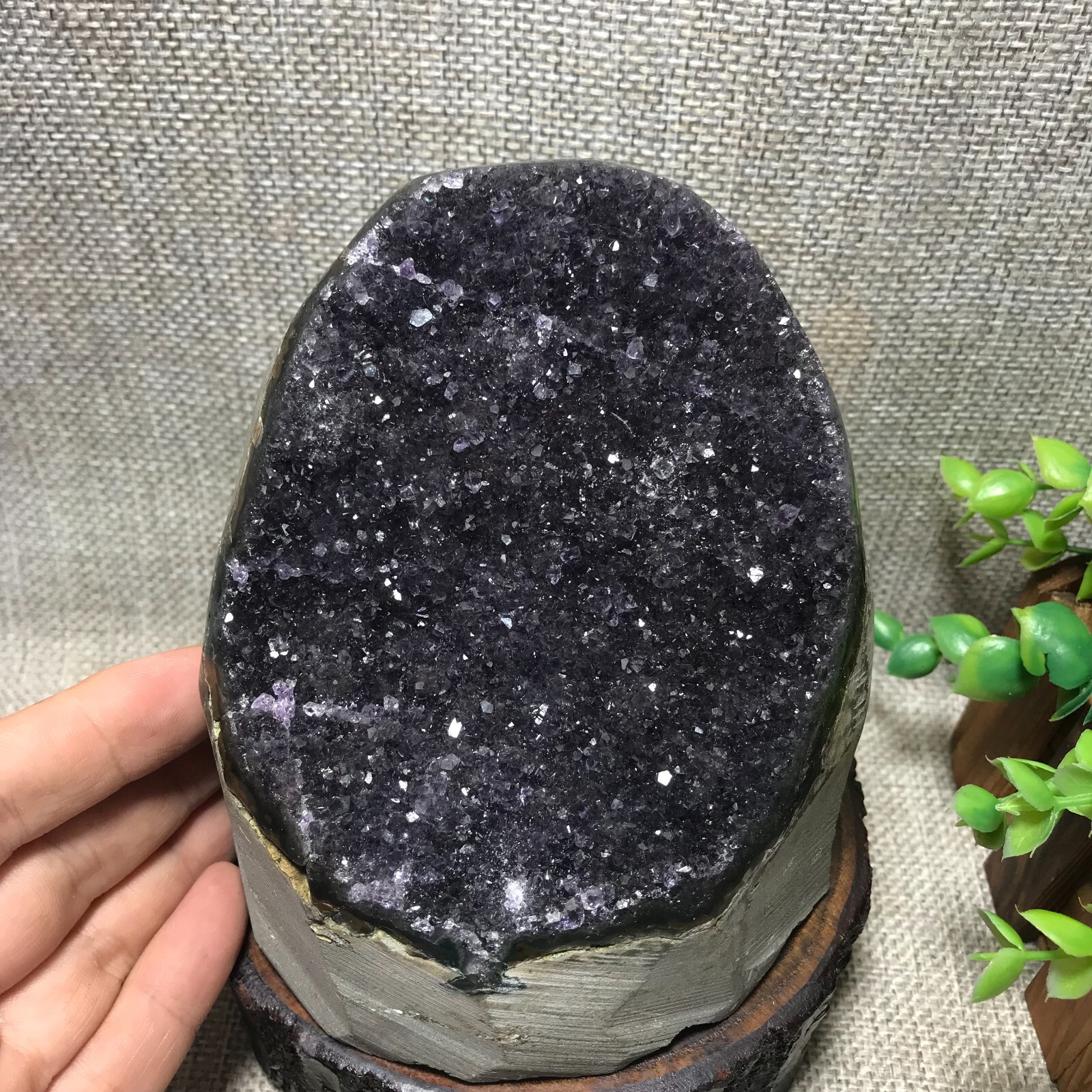 1281g Natural Amethyst Cluster Geodes Cut Base Quartz Crystal Healing 44