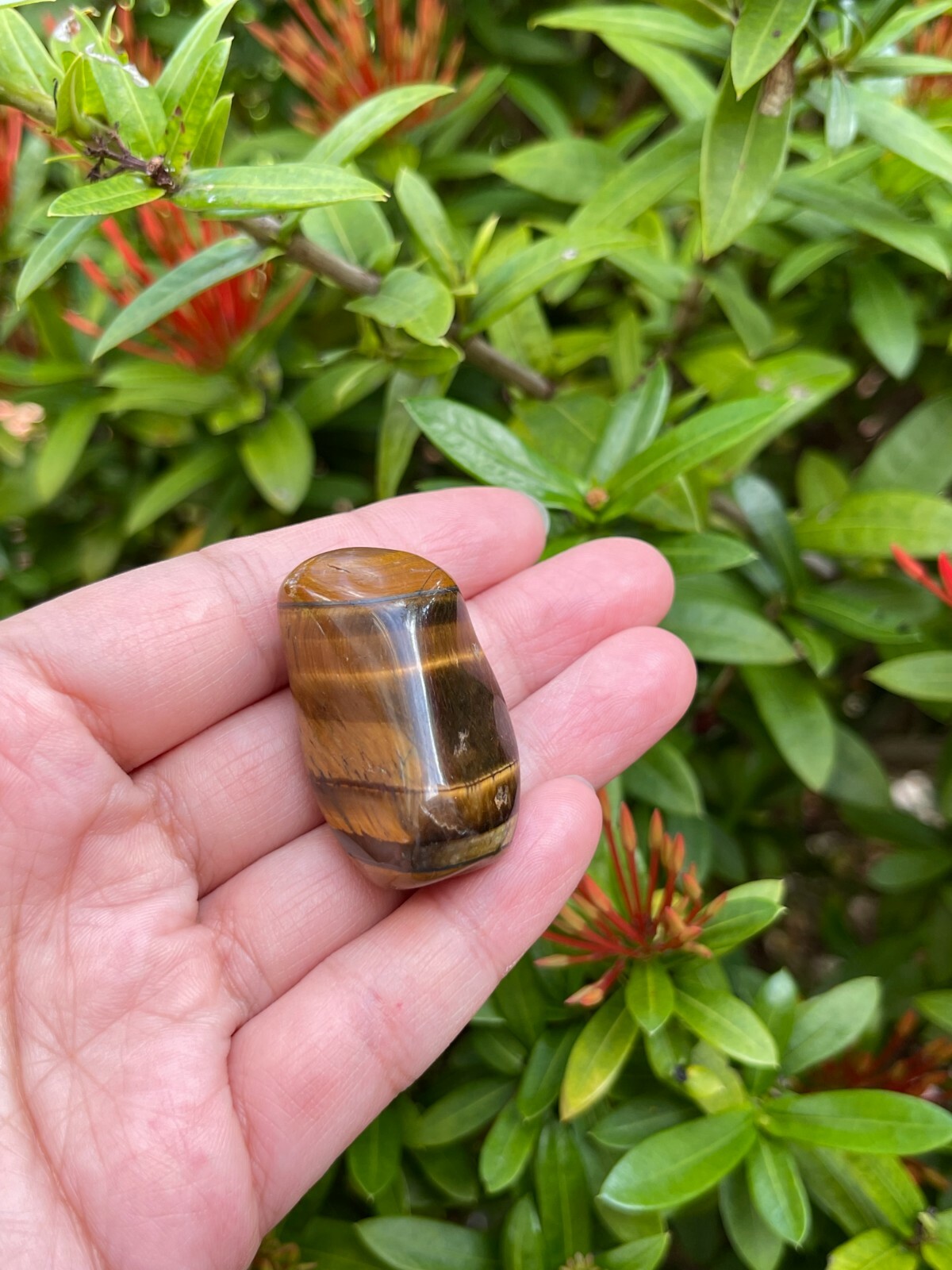 Grade A++ Gold Tiger Eye Tumbled Stones, 0.85″-1.5″ Tumbled Tiger Eye, Bulk Lot