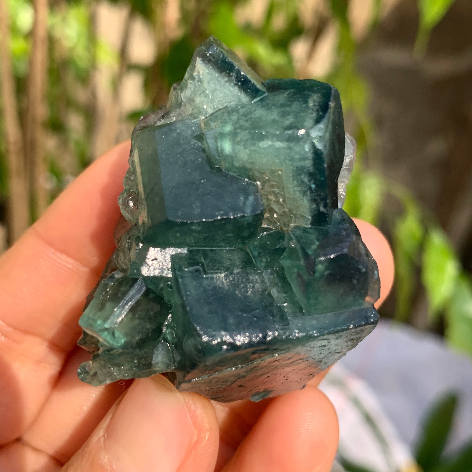 88g Natural Green FLUORITE Quartz Crystal Cluster Mineral Specimen