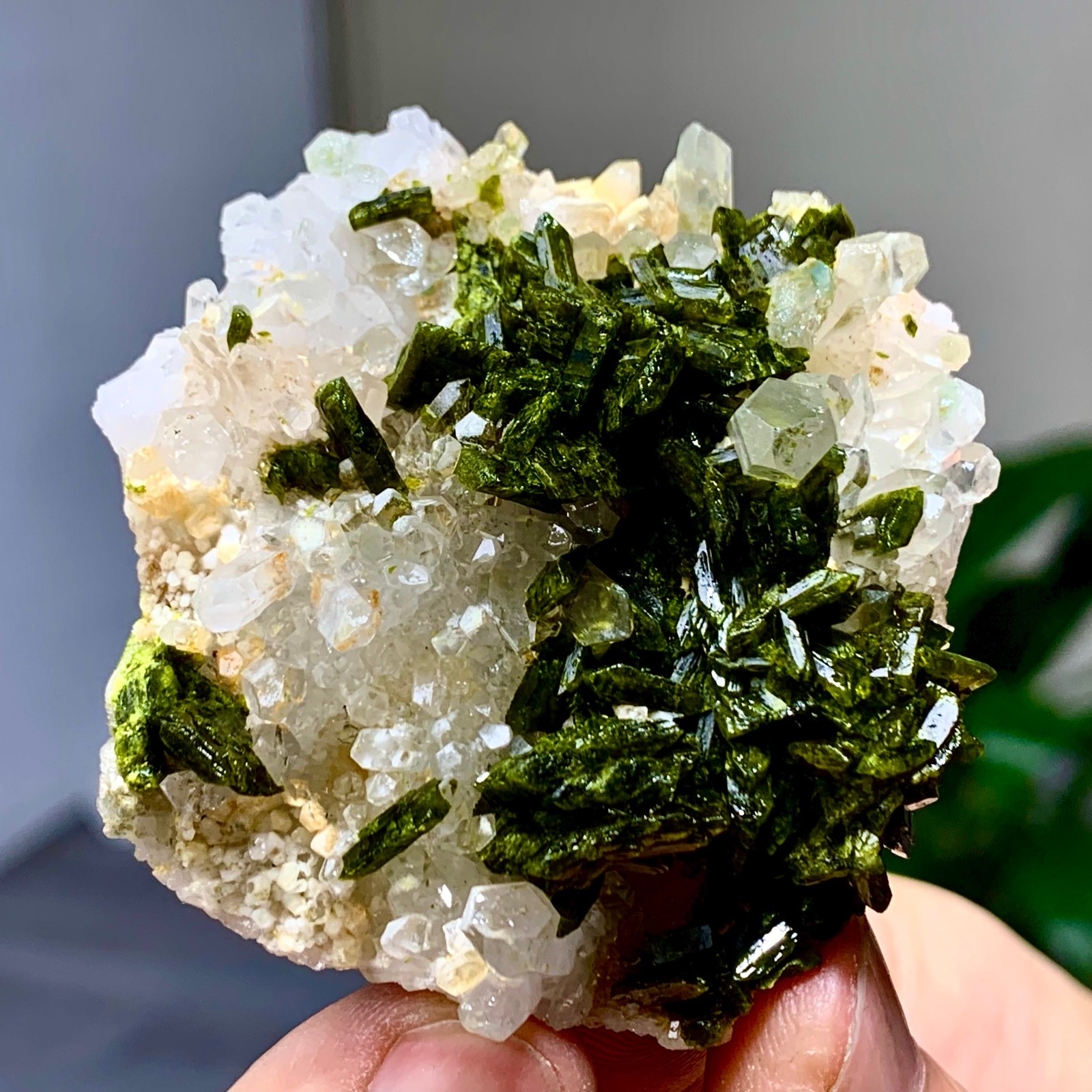 46g Natural Garden quartz cluster specimen tourmaline mineral healing SiChuan
