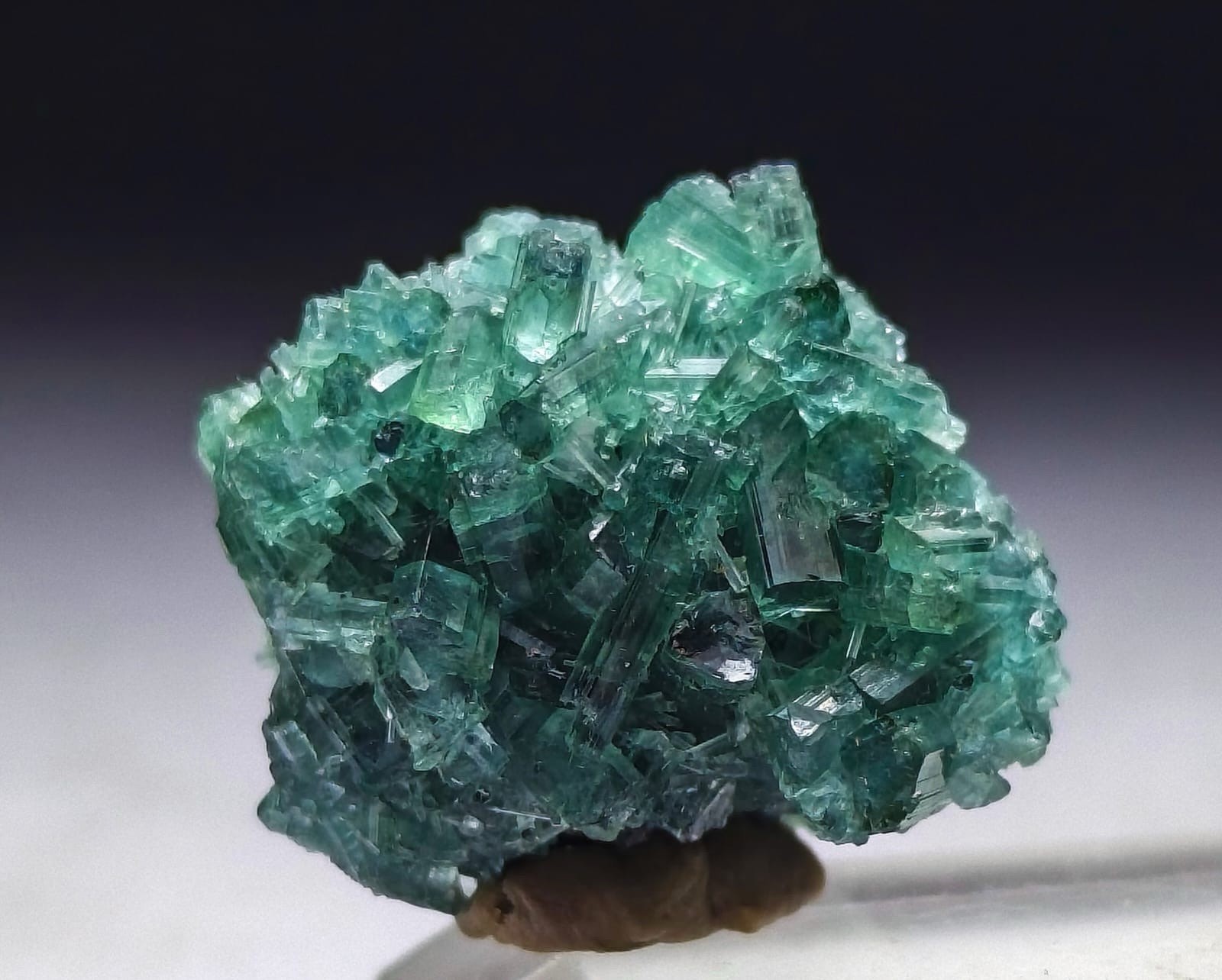 Natural Bluesh Tourmaline Crystal Cluster | Collector Mineral Specimen