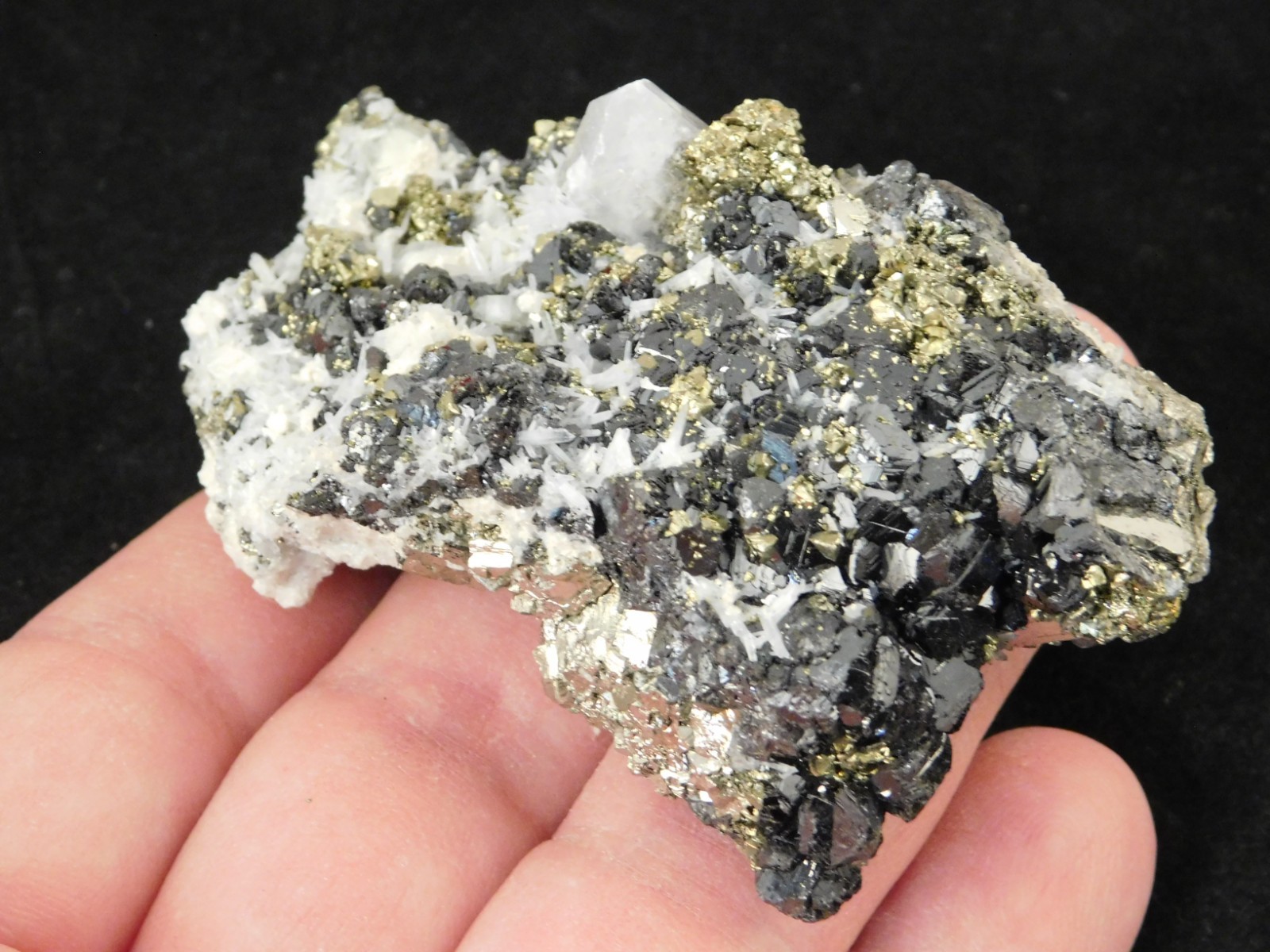 Sphalerite Crystal Cluster with Chalcopyrite Calcite and Pyrite 116gr