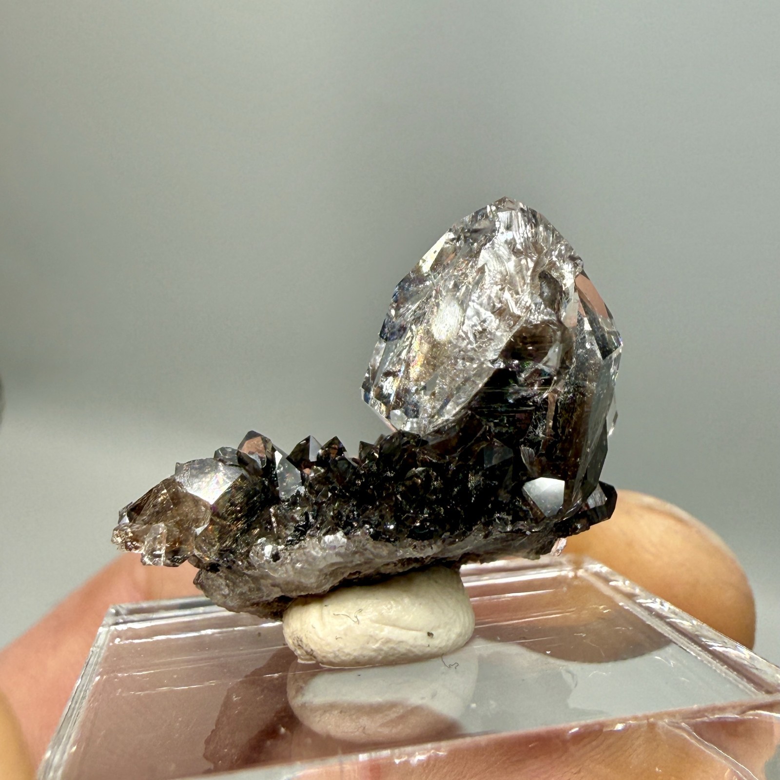 Herkimer Diamond Perchers on Rare Black+Gray Druze, Gem Points w/ Phantoms