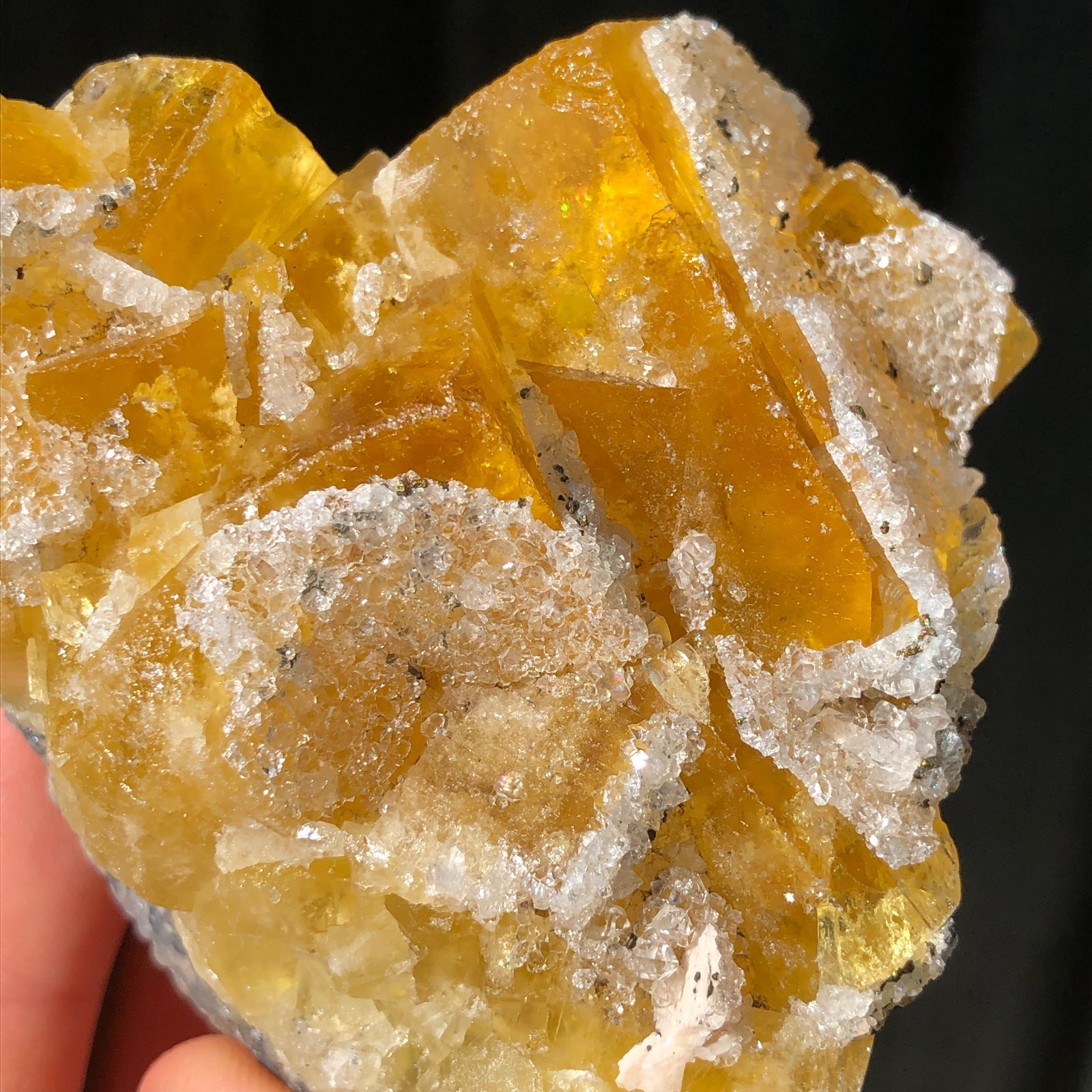 7.3cm Yellow Fluorite Crystals w Druzy Quartz from Four de Cluzel Mine, France