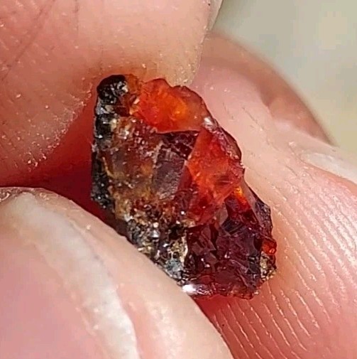 ULTRA RARE GEM RHODOCHROSITE ON MATRIX N’Chwaning I Mine, KMF, South Africa