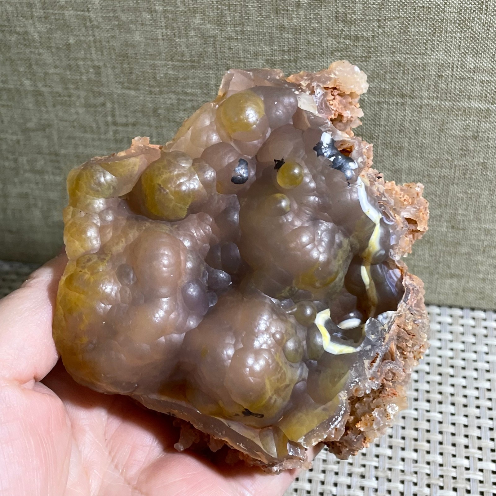 290g Bonsai Suiseki-Gobi Agate Eyes Stone-Rare Stunning Viewing