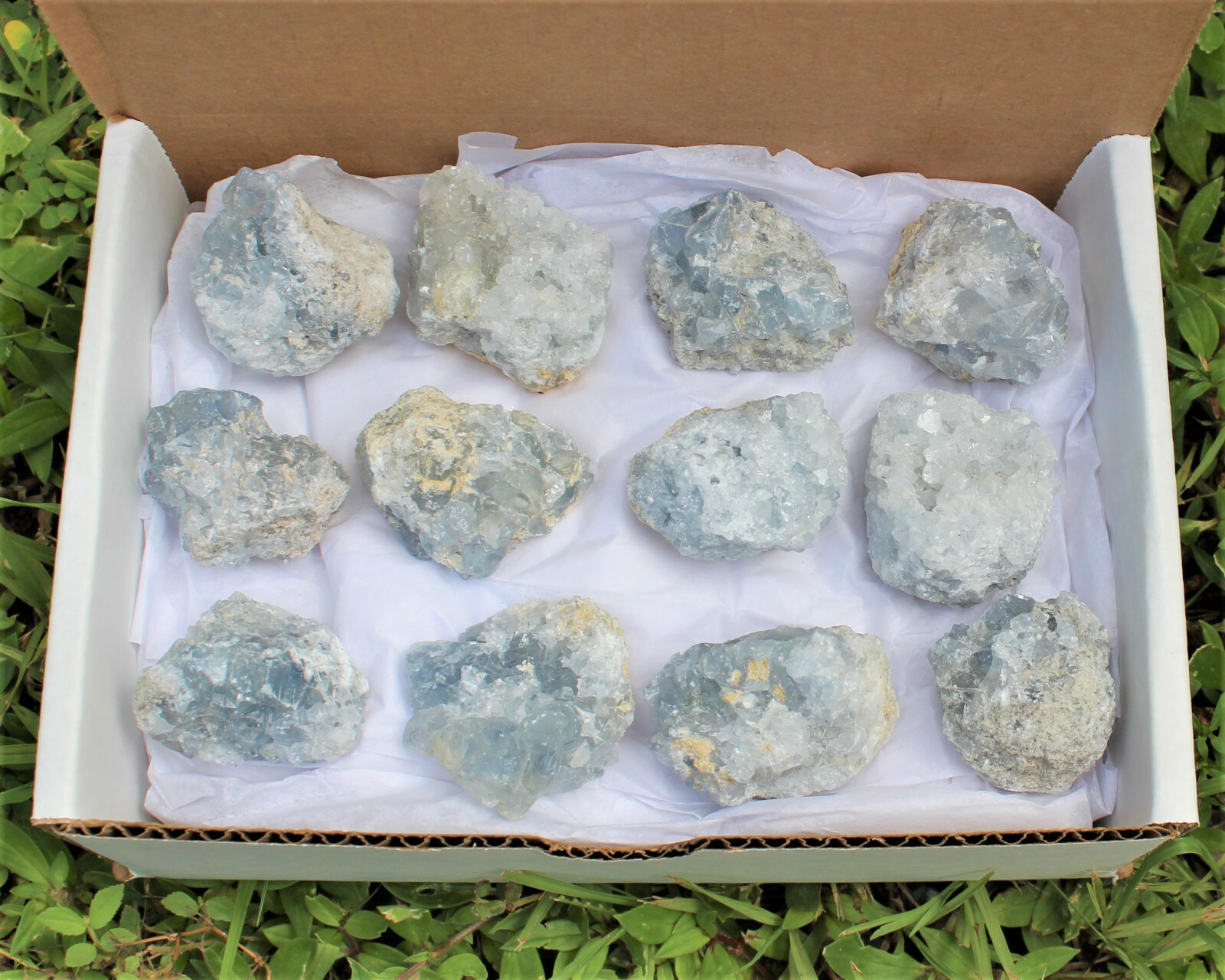 Natural Celestite Clusters – Wholesale Bulk ‘A’ Grade: 10-15 Piece Bulk Box Lot
