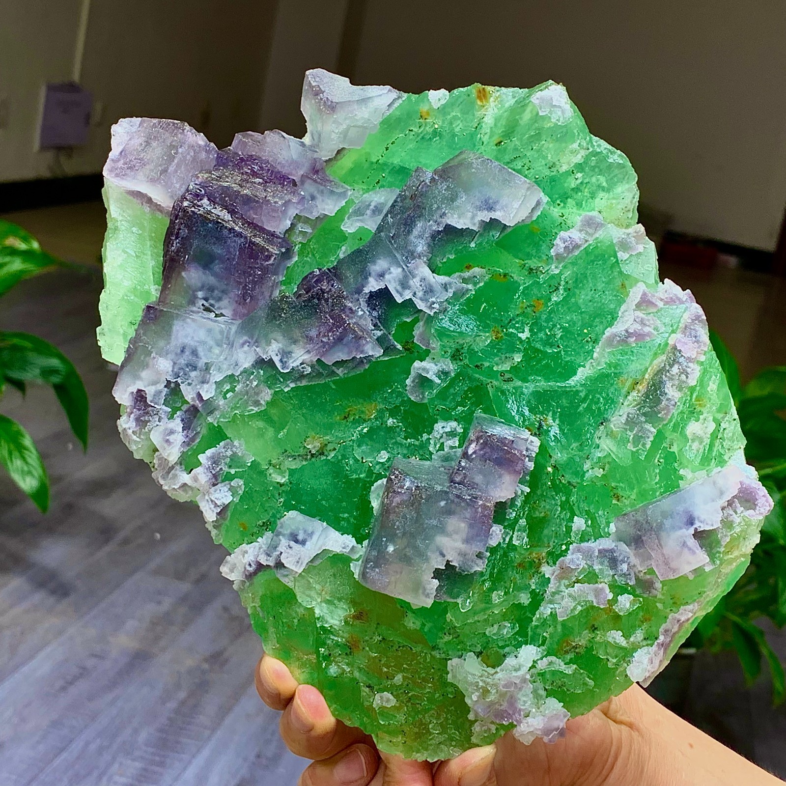 7.2LB Rare transparent green purple cubic Zhejiang fluorite mineral sample