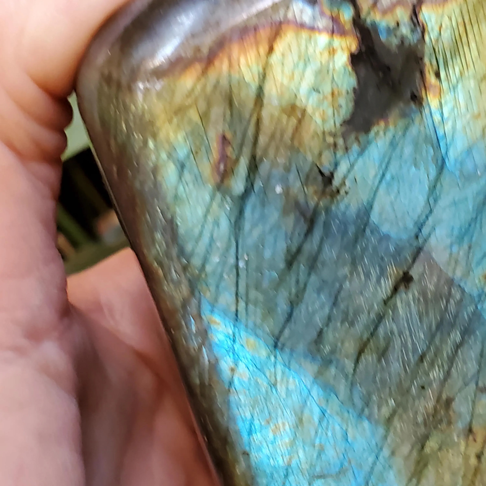 Labradorite Spectrolite Blue & Yellow Flash Crystal Slab Freeform 952 grams