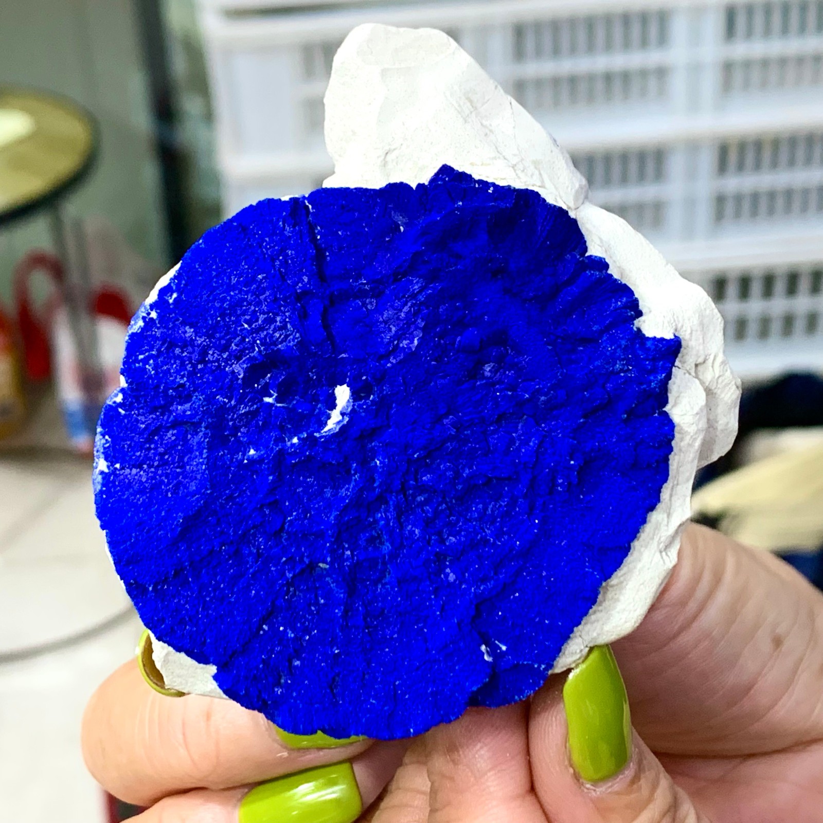 147G Sunflower azurite Fantastic Azurite Suns On Kaoline from Malbunka Australia