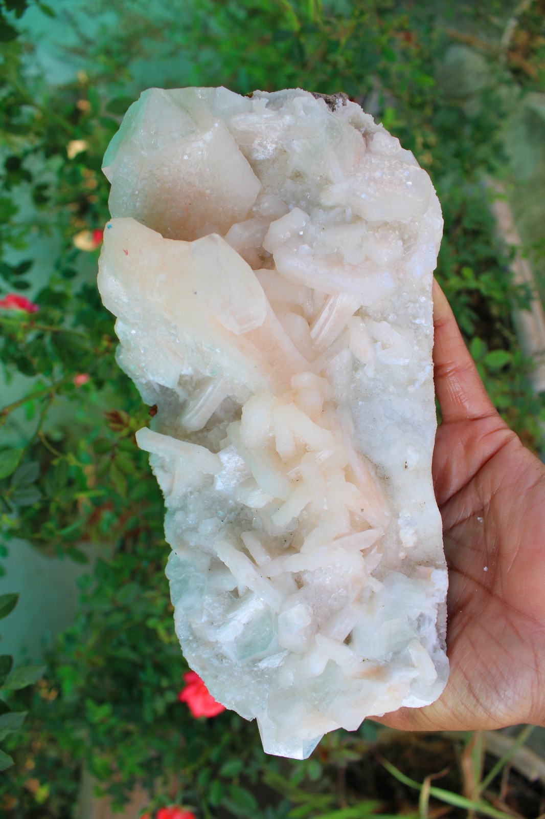 APOPHYLLITE, STILBITE Format On CHALCEDONY CORAL Matrix Minerals specimen #A1