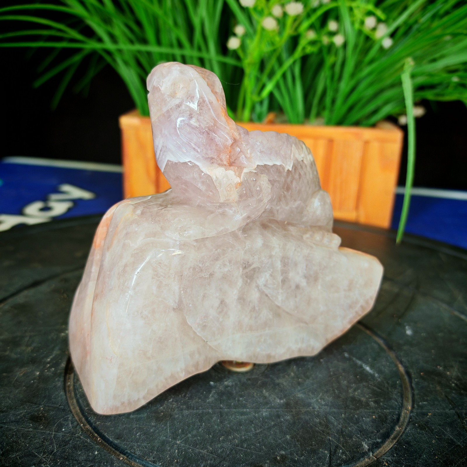 2.31LB Natural Crystal Purple Agate Carved Lizard Reptile & Crystal Lovers