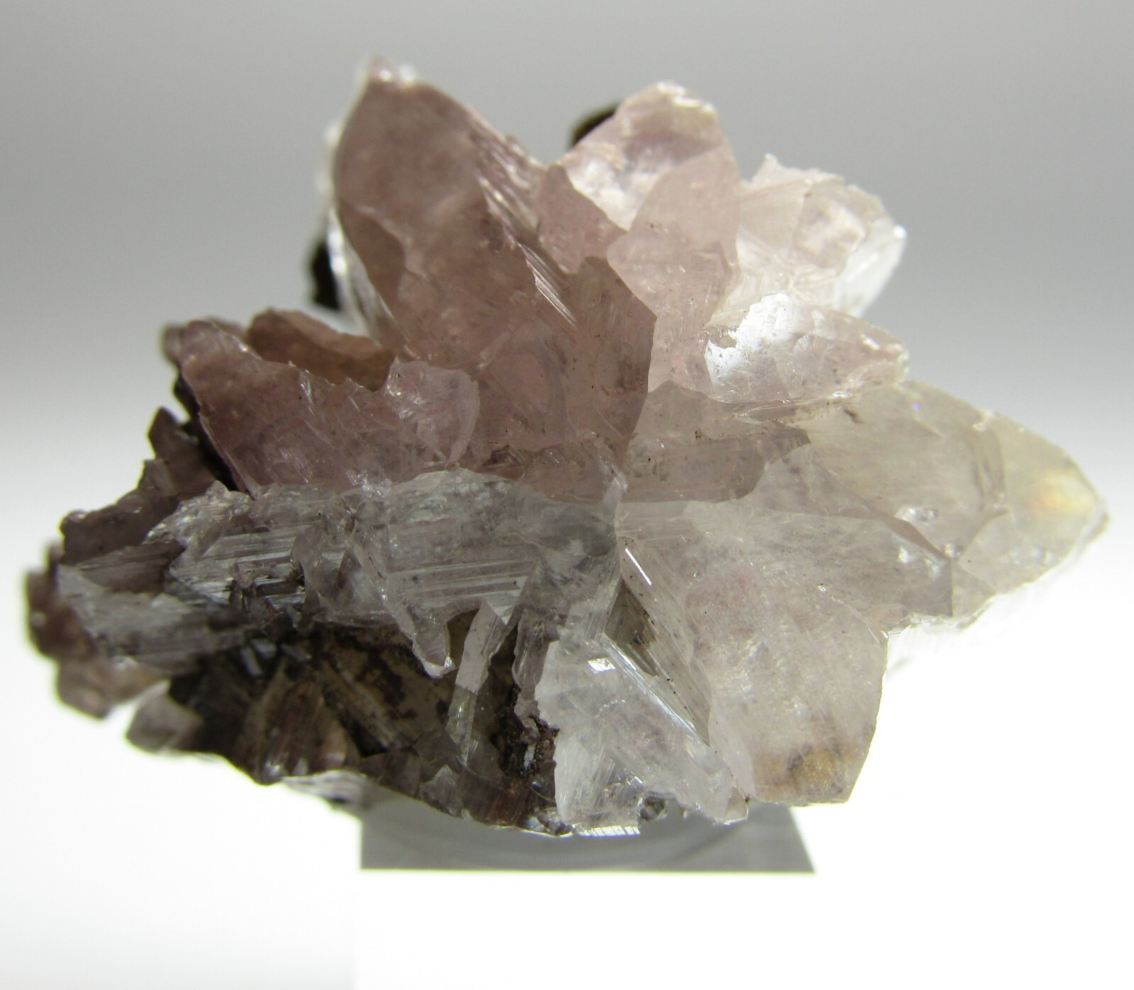 MAGNIFICENT STAR SHAPE CERUSSITE SIXLING CRYSTAL!!! TSUMEB MINE NAMIBIA
