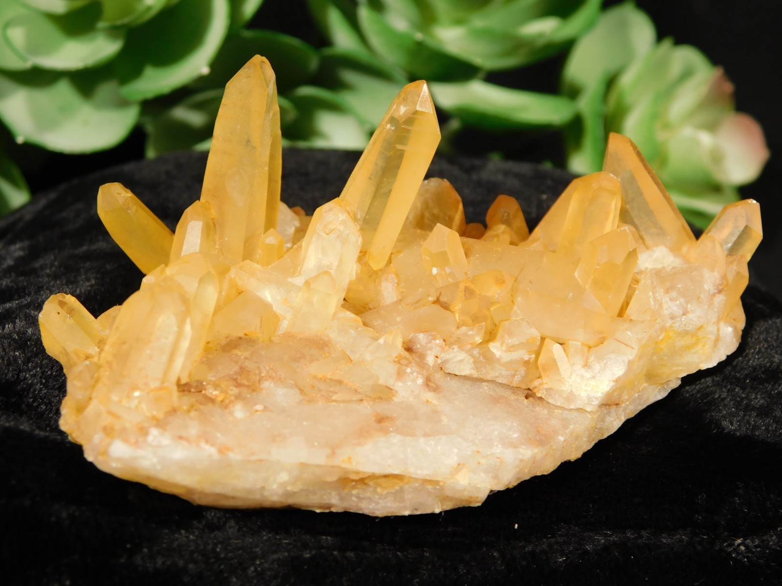 GOLDEN Healer Quartz Crystal Cluster 100% Natural Brazil 81.0gr