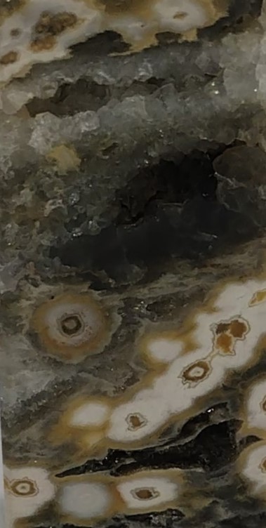 Rare 8 Vein Ocean Jasper Tower 3” 64g Brown White Druzy Orbs Crystal Point (OJ10