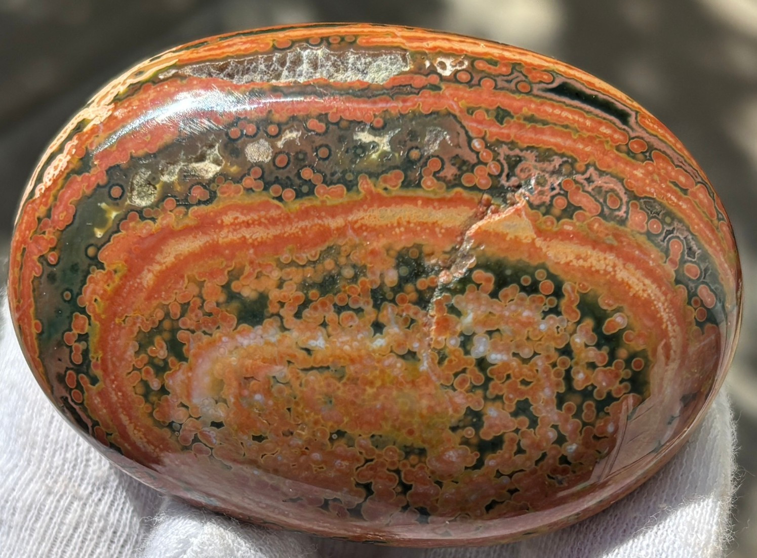 USA SALE 177g LOT OCEAN JASPER OJ PALMSTONES PALM STONE STONES PALMSTONE VIBRANT
