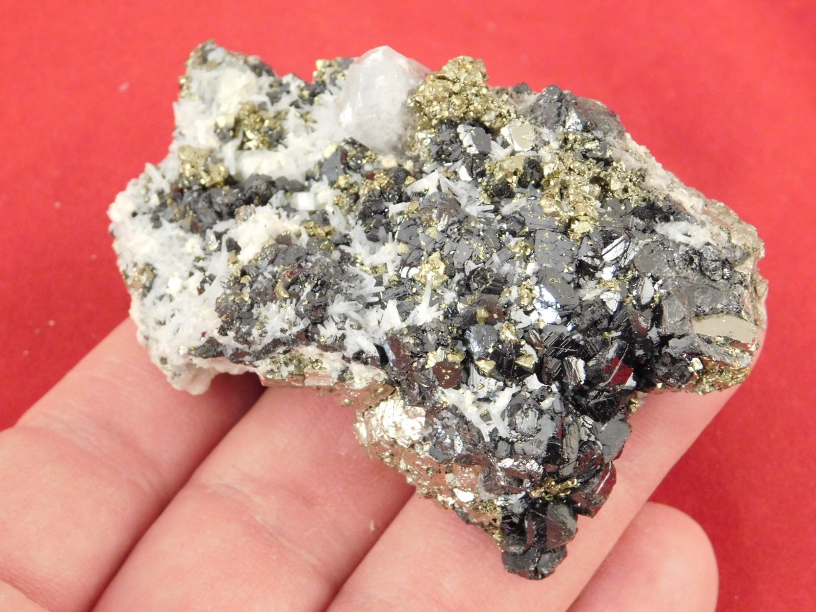 Sphalerite Crystal Cluster with Chalcopyrite Calcite and Pyrite 116gr