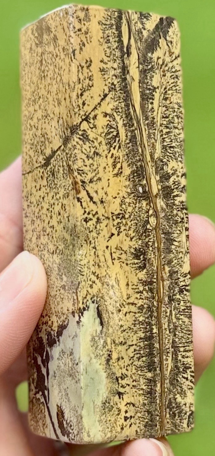 Picture Jasper Column 227g