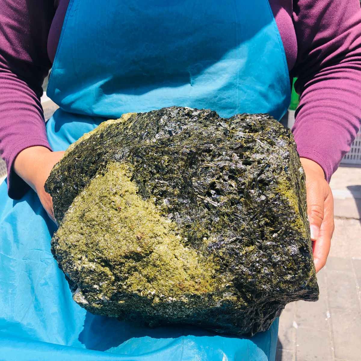 33.06LB Natural green tourmaline mineral quartz crystal specimen specimen REIKI
