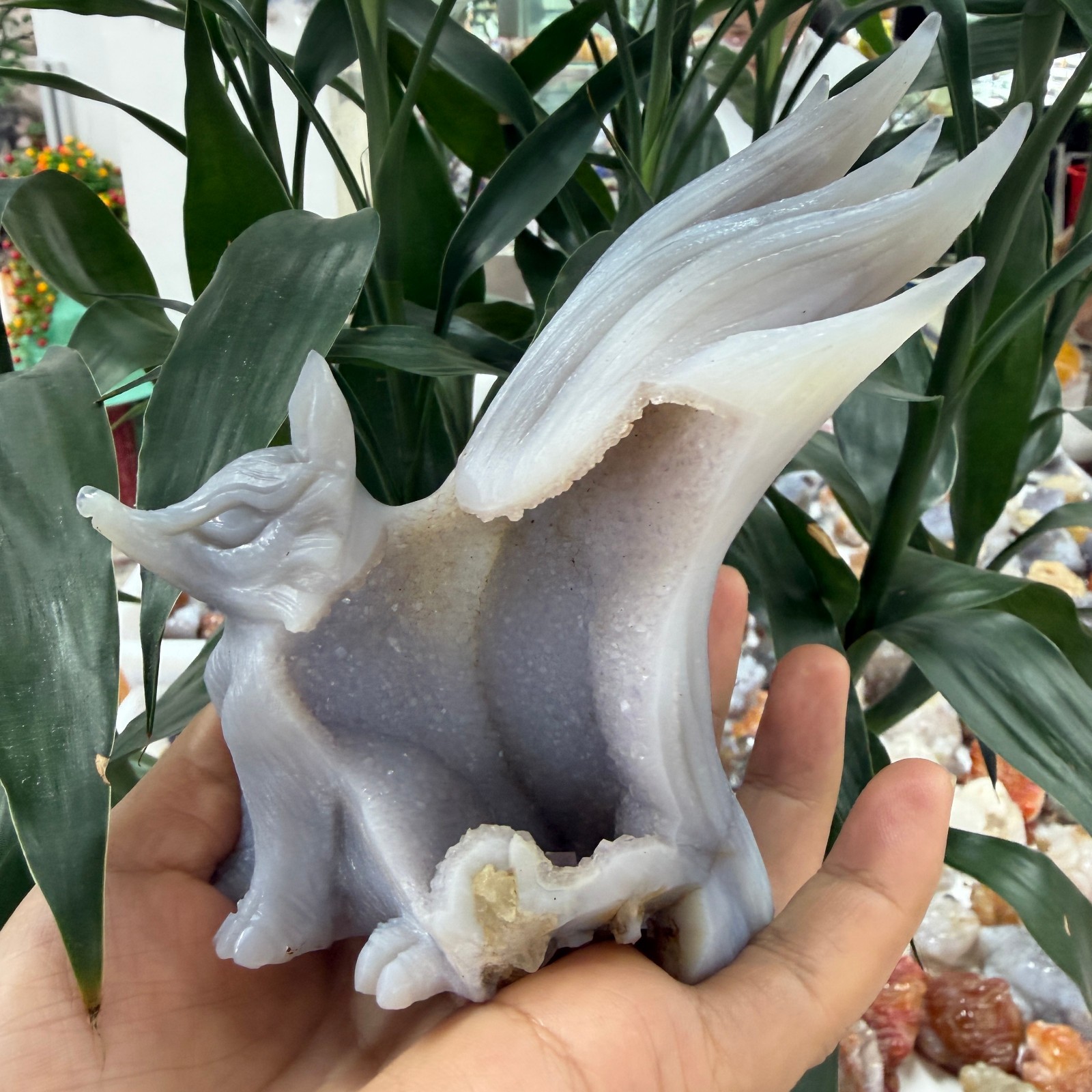 1pc natural agate geode quartz carved fox Skull Crystal Decor Reiki