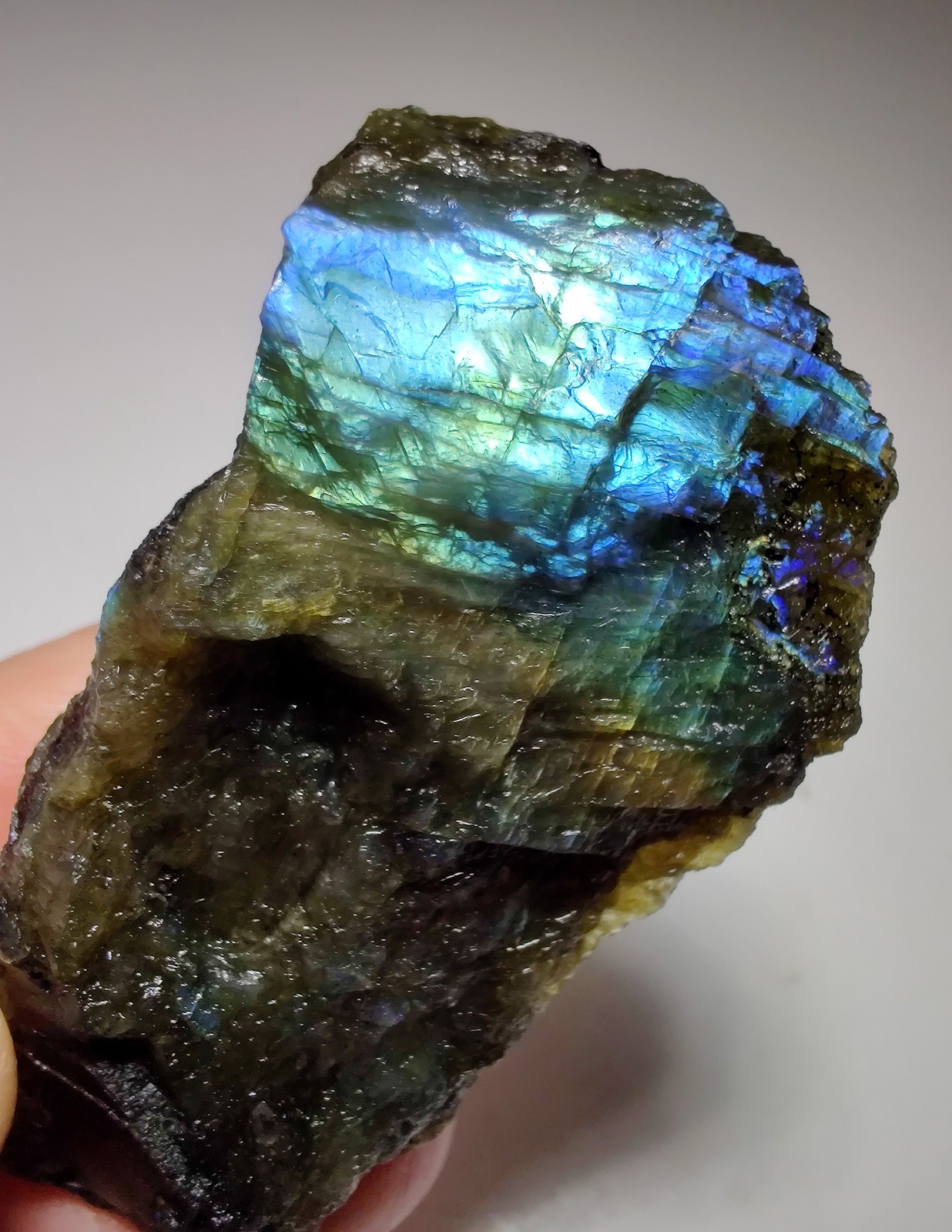 Labradorite with excellent color flash. From Madagascar. 53 grams.