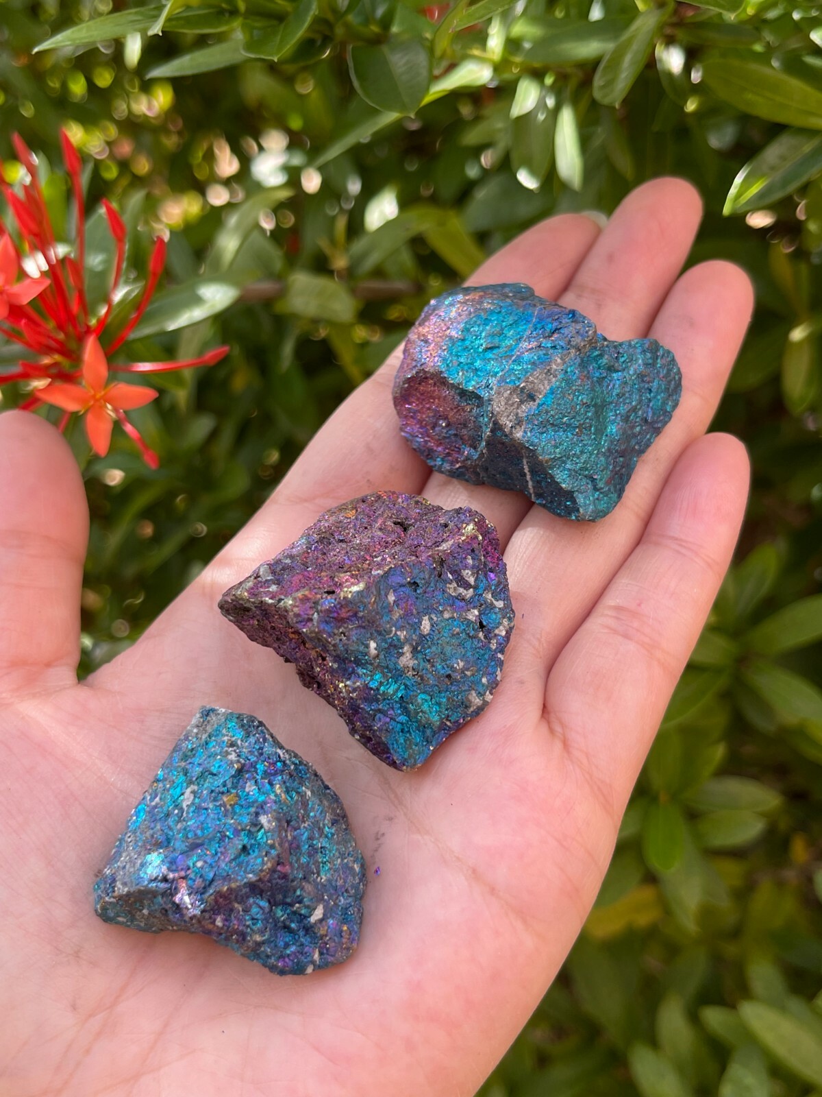 Grade A++ Chalcopyrite Natural Stone, Raw Peacock Ore Stone, Wholesale Bulk Lot