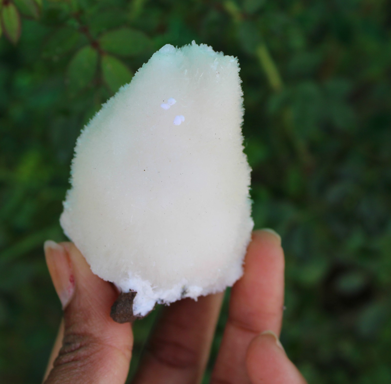 SCOLECITE ON MATRIX MINERALS SPECIMEN