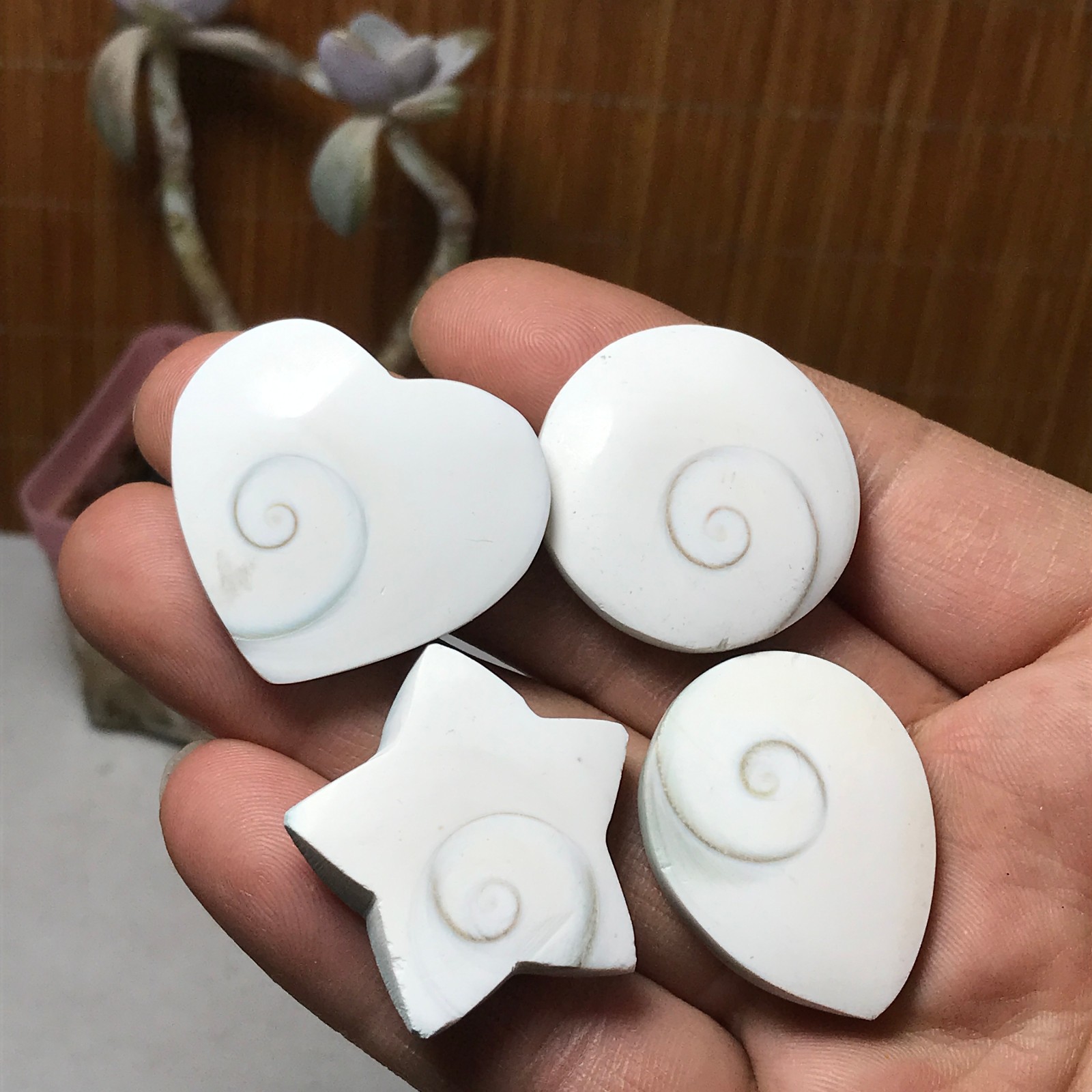 4Pcs Natural sun shell star Heart Reiki Shiva Eye ocean quartz carve A3340