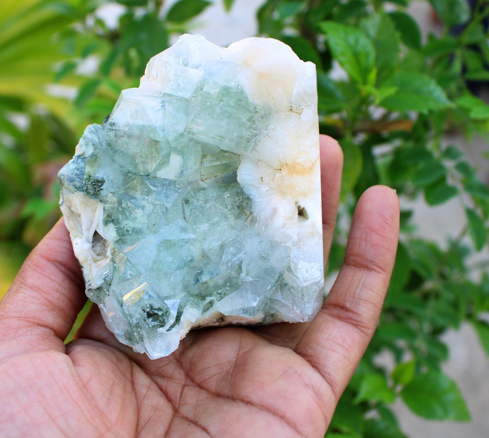 green apophyllite crystals on matrix minerals specimen #A43