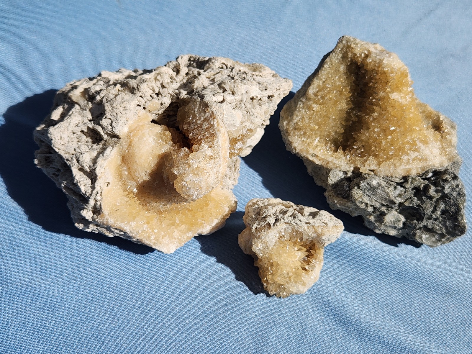 SET OF 3 Calcite CRYSTAL WHELK Shells Fossil Rucks Pit Florida dogtooth LOT