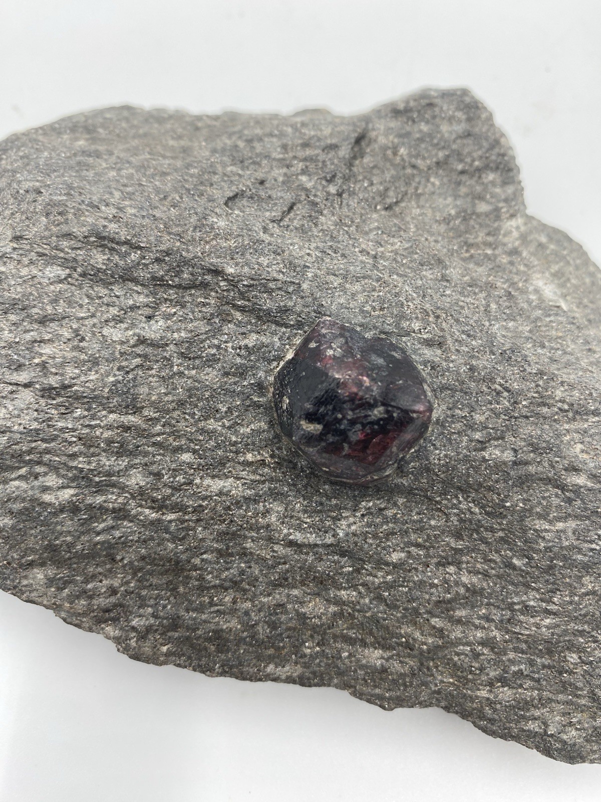 Gemmy Red Almandine Garnet Gemstones in Matrix Crystal Specimen 1lb 4.8oz 5.5”
