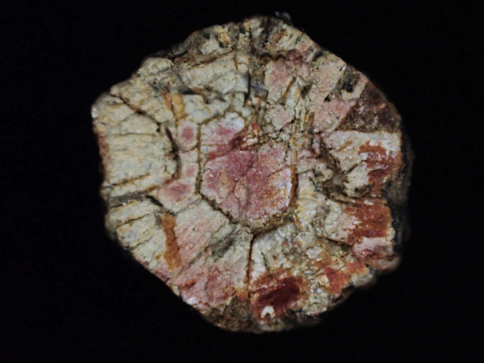 Cordierite Sakura-stone,Cherry blossom stone from Kameyama, Kyoto, Japan　SA03