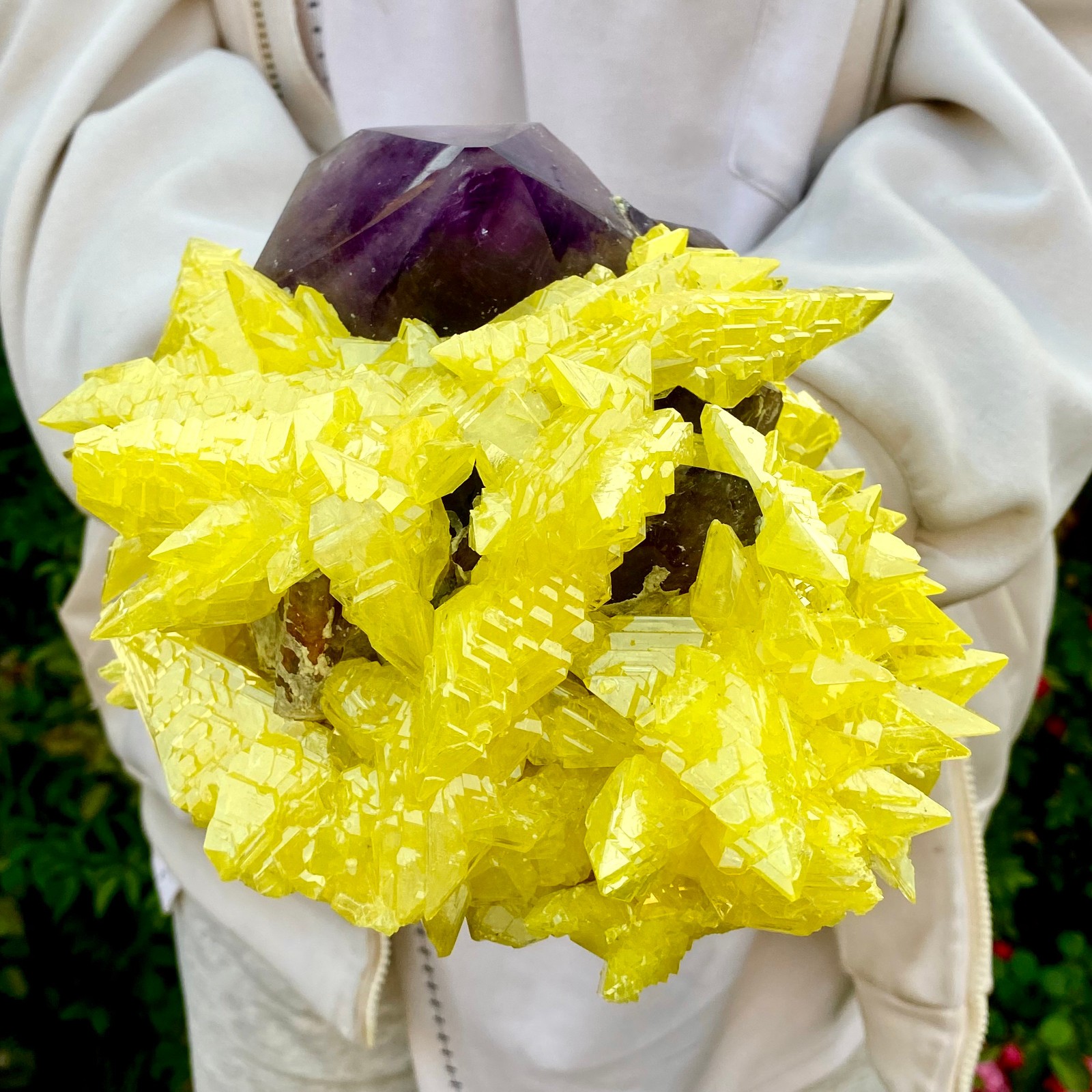 10LB Natural Amethyst & Sulphur Symbiotic Crystal Cluster Specimen