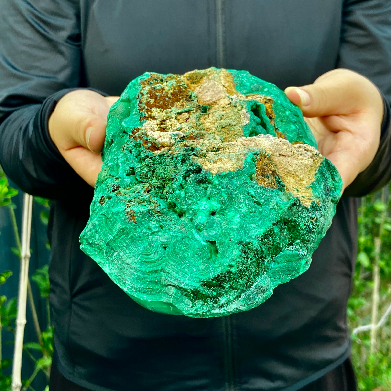 5LB Natural tortoise Malachite transparent cluster coarse mineral sample