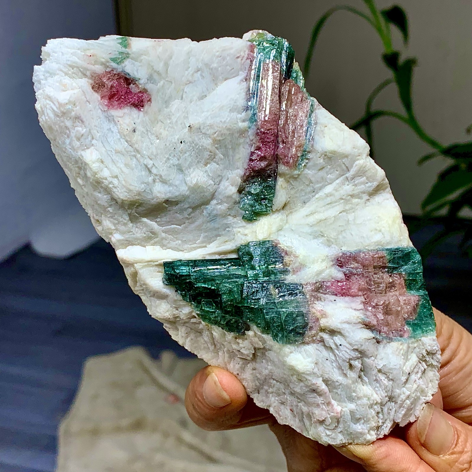 449G Natural pink-green tourmaline quartz crystal cluster mineral specimen