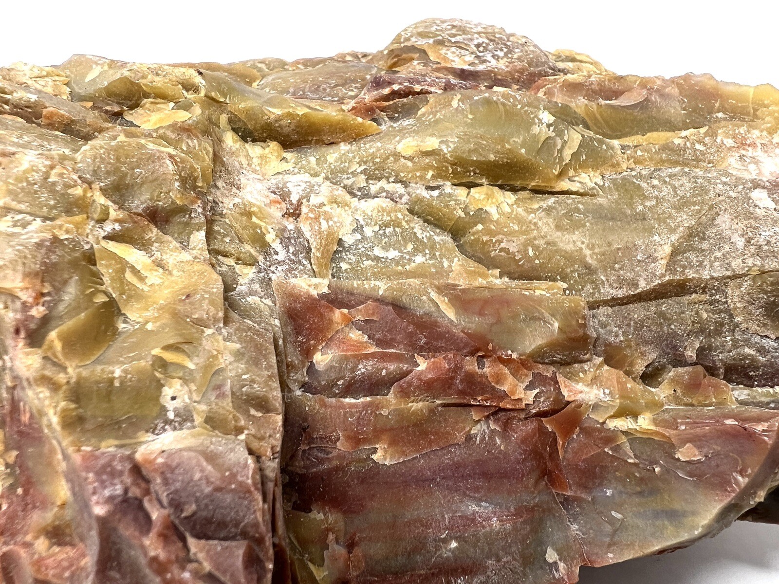 Loose Natural Stone – United States: Raw Petrified Wood RARE Agatized 4lb 4oz