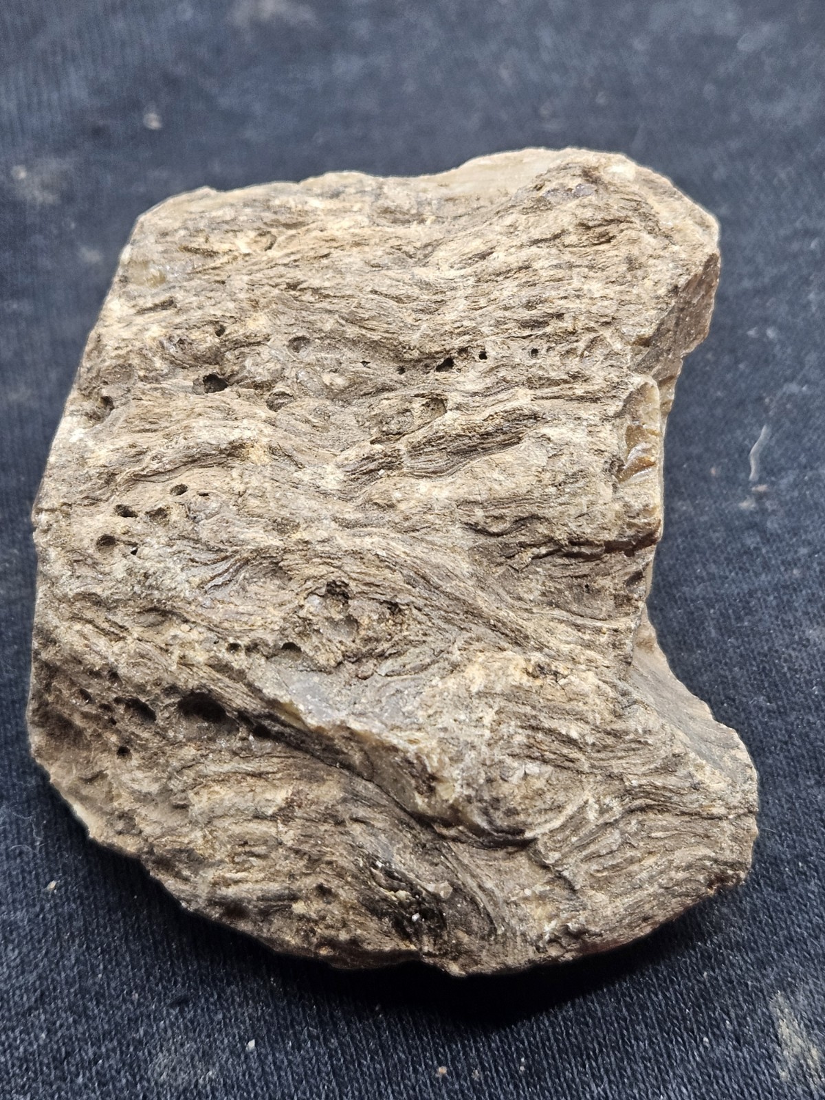 Natural Raw Amber Specimen Rough Unpolished Fossilized Resin Stone Rock