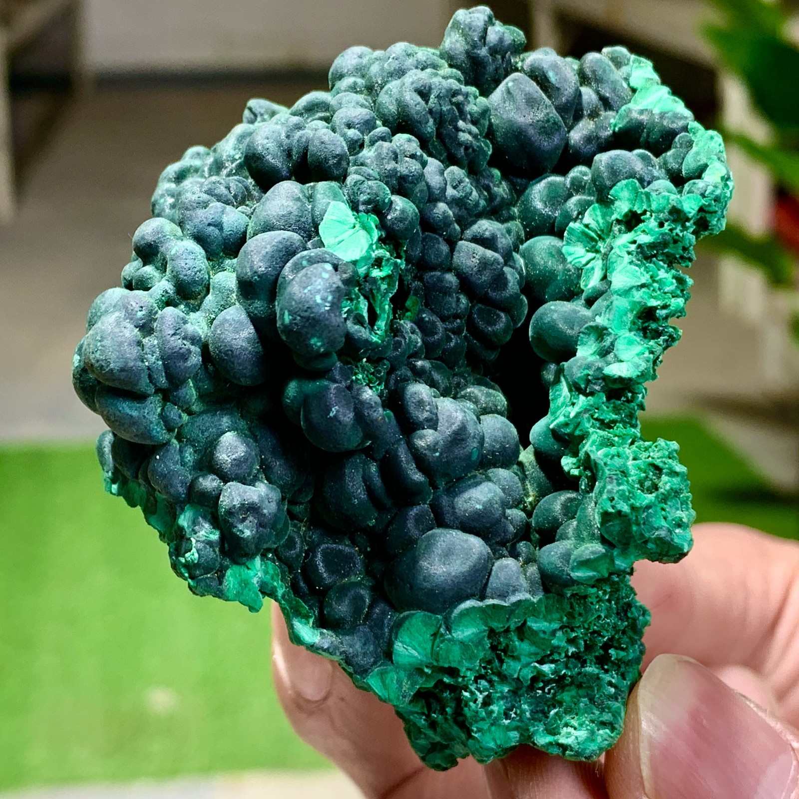 205G Natural glossy malachite cat eye transparent cluster rough mineral Sample