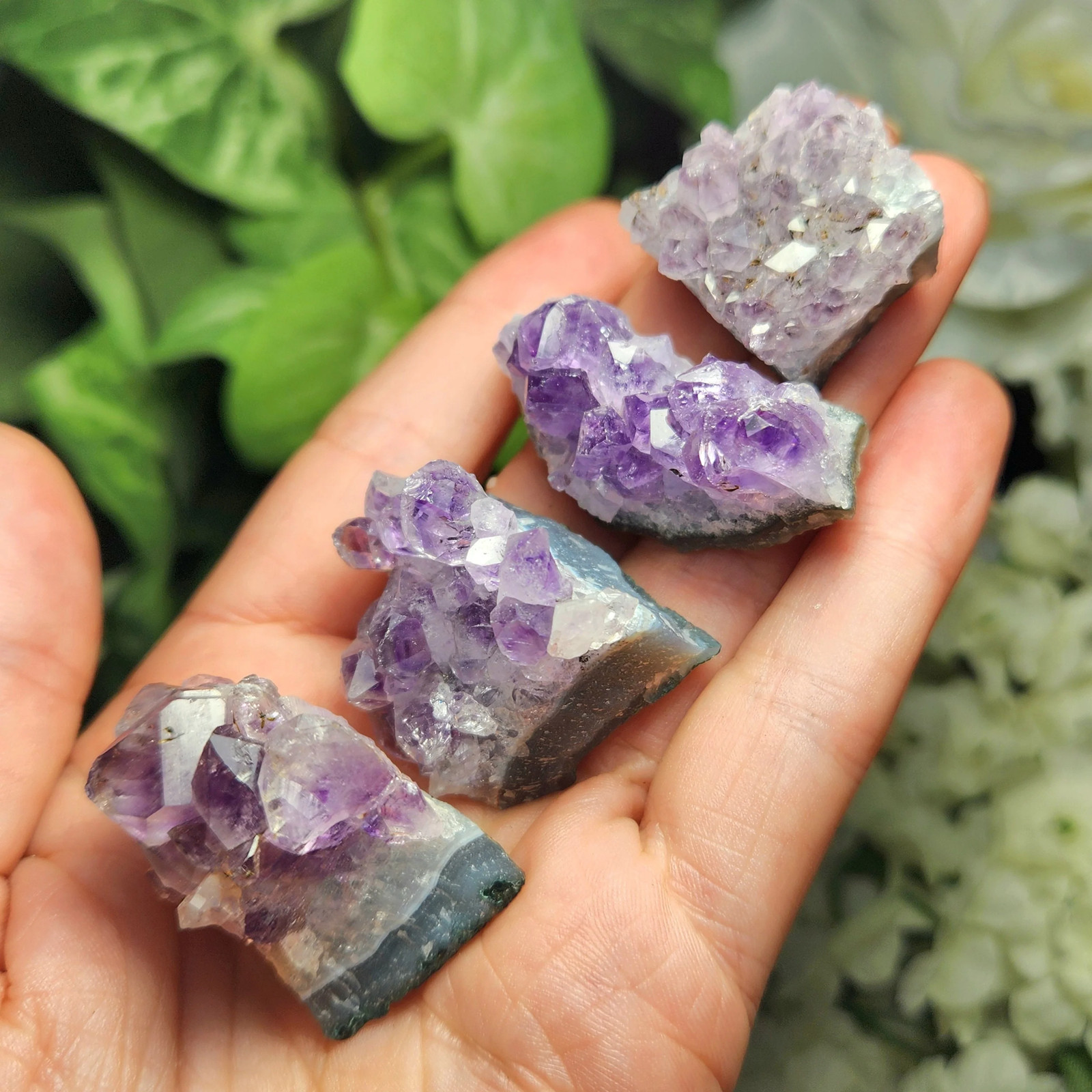 Amethyst Cluster