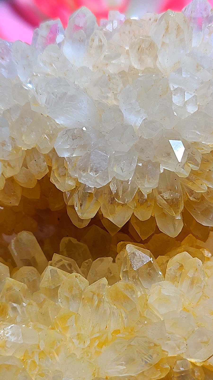 3.7″ 361g Pretty A+ Golden Healer Flower Quartz Crystal Stone Cluster Specimen